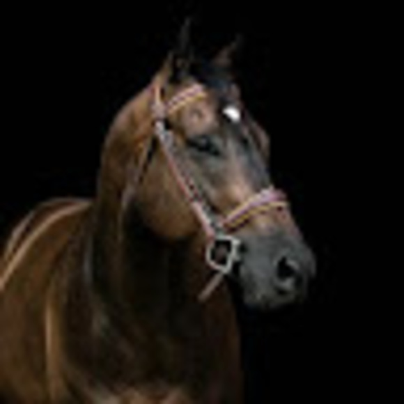 Meet your Posher, Cherie - Picture 1 of 1